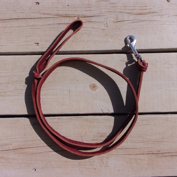 Ray Allen Leather Classic Braided Agitation Lead - Picture 1 of 2